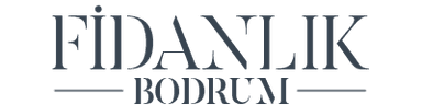 Bodrum Fidanlık